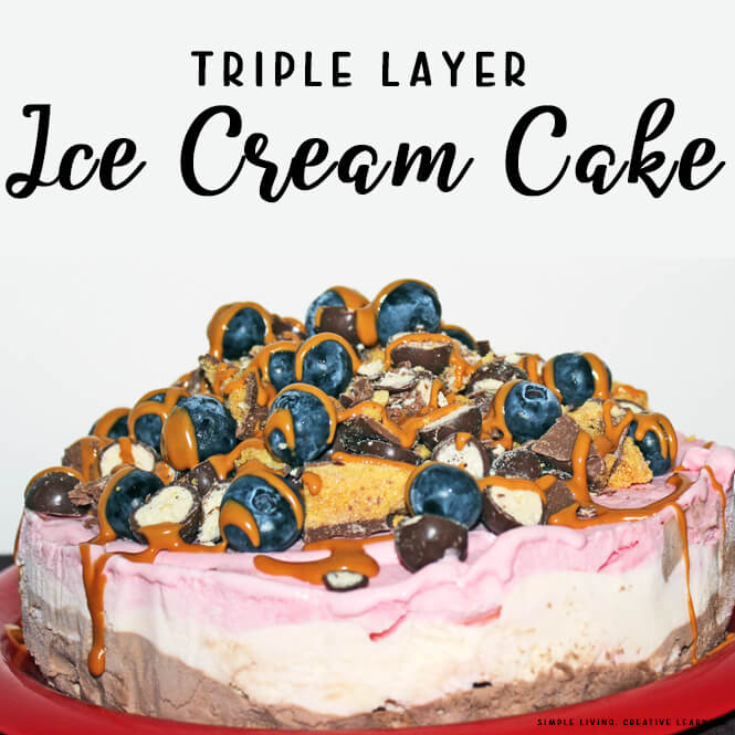 Triple Layer Ice Cream Cake with delicious toppings