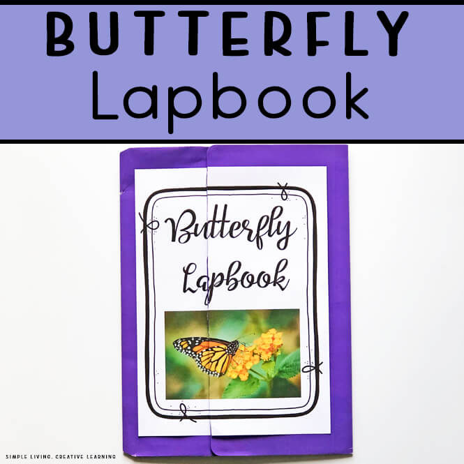 Butterfly Lapbook