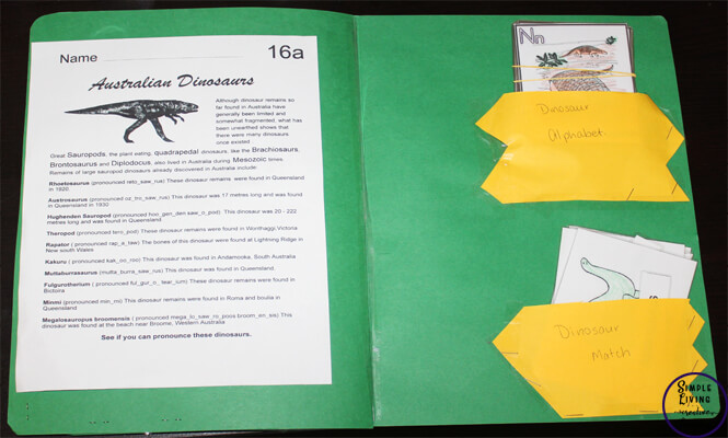 Dinosaur Lapbook and Study Resources - Lapbook Cards