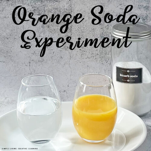 How to Make Orange Soda Experiment!