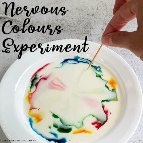 Nervous Colours ~ Colour Changing Milk Experiment