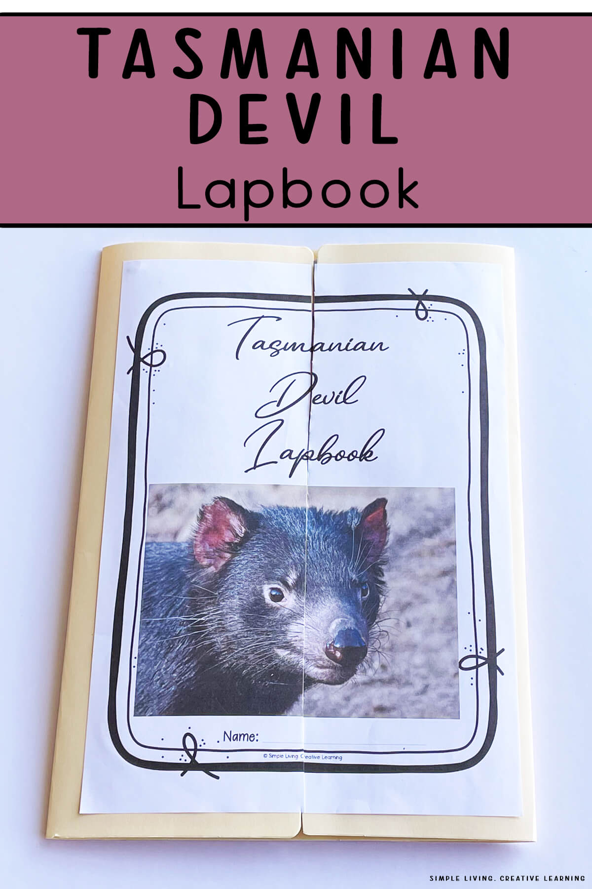 Tasmanian Devil Lapbook