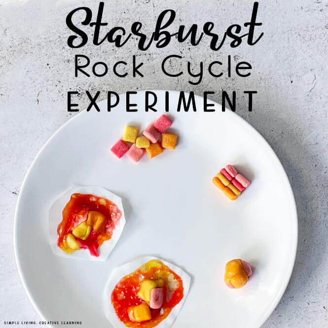 Starburst Rock Cycle Experiment