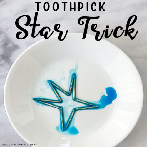 Toothpick Star Experiment