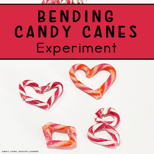 Bendy Candy Cane Experiment four shapes