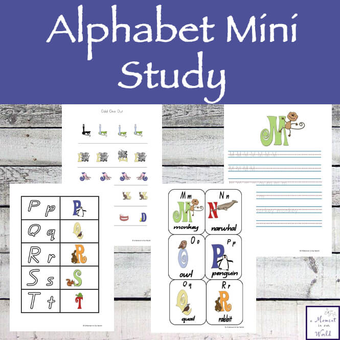 Alphabet Mini Study