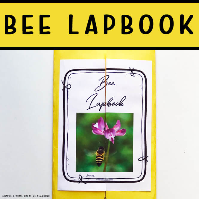 Bee Lapbook