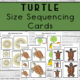 Turtle Size Sequencing Cards