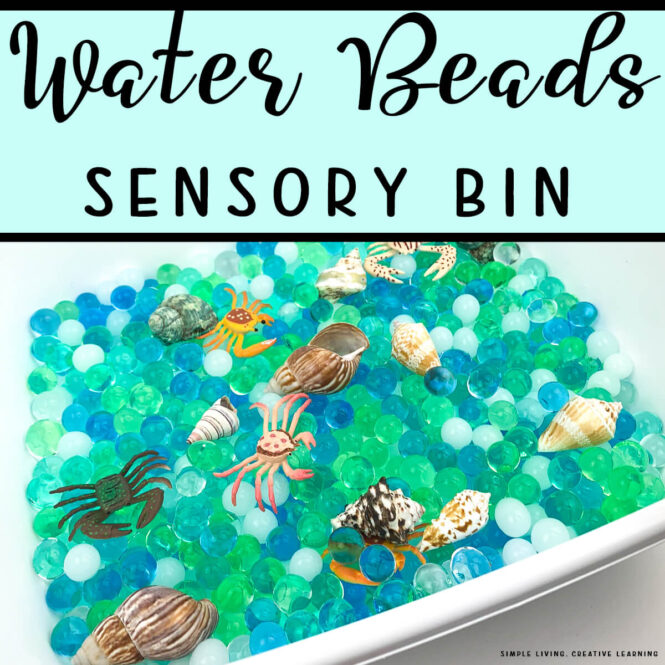 Water Beads Sensory Bin crab themed