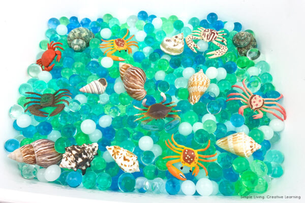 Water Beads Sensory Bin adding to container