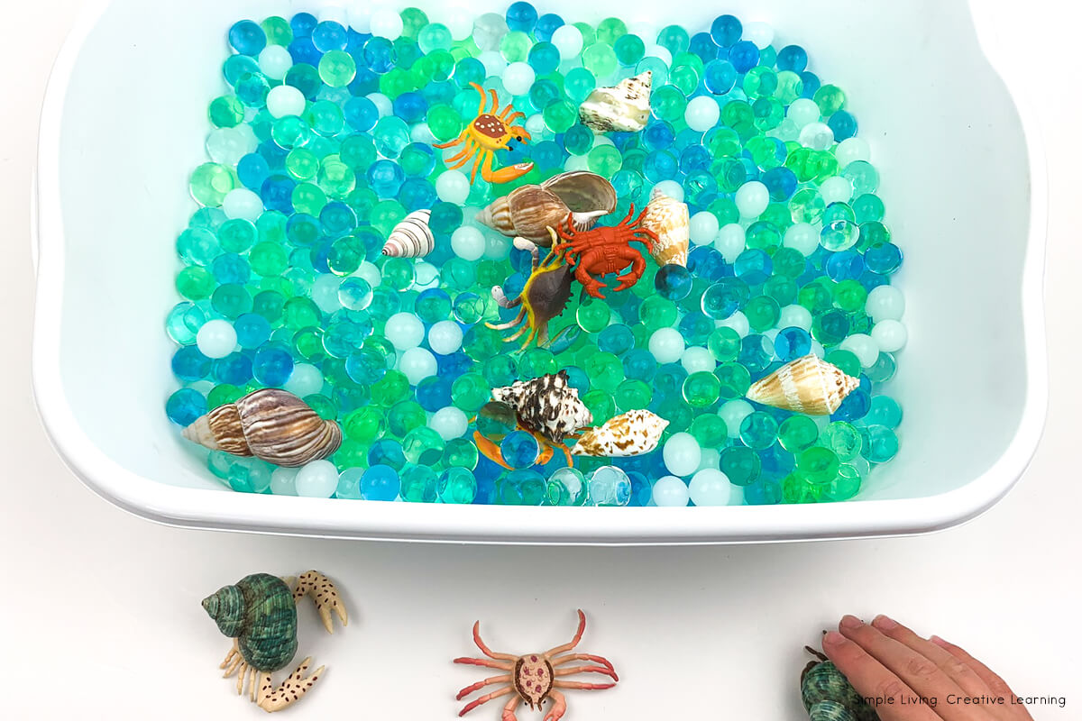 Water Beads Sensory Bin playing with toys