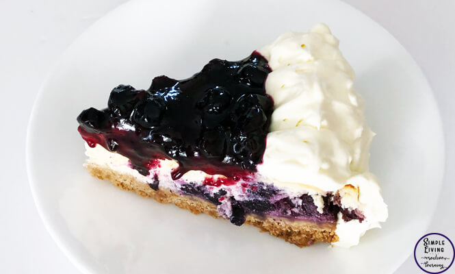 This baked blueberry cheesecake is just melt-in-your-mouth delicious and would be a wonderful addition to a family meal, or party.
