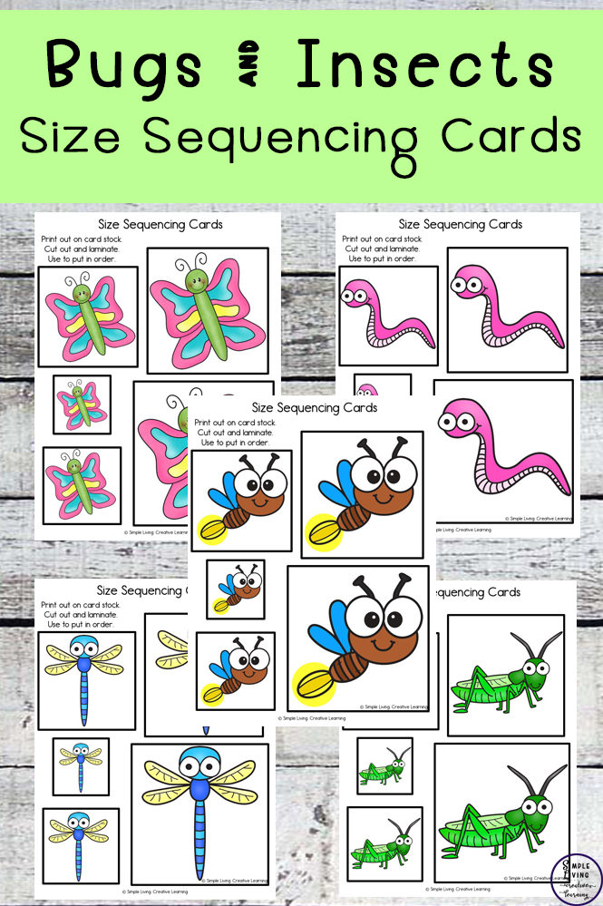 Kids love collecting and watching bugs and insects and they will love practicing size sequencing with these bug and insect size sequencing cards.