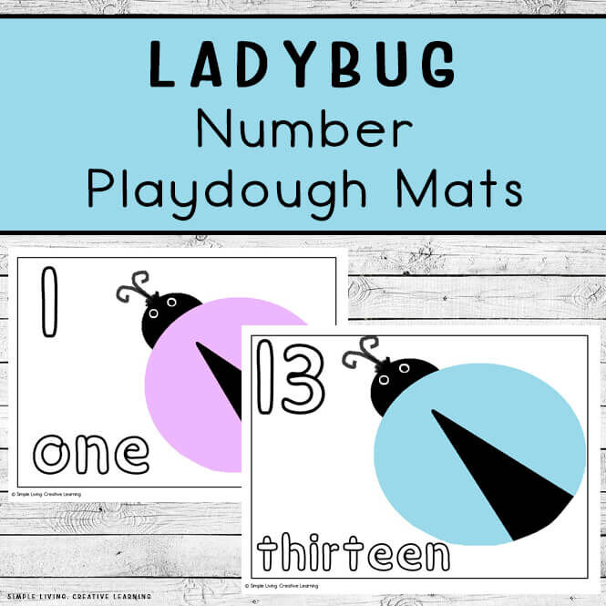 Ladybug Number Mats