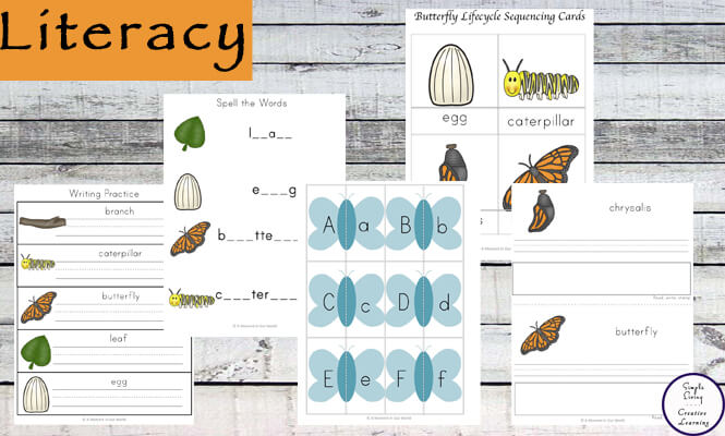 This huge 184 page Butterfly Printable Pack is aimed at kids in preschool and kindergarten. Kids will love learning about the life cycle of a butterfly.