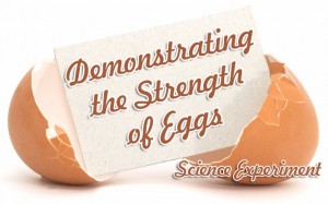 demonstrating the strength of eggs
