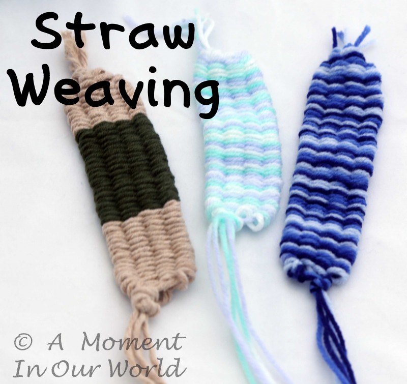 Straw Weaving A Moment in our World