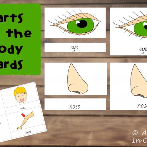 These parts of the body cards are a great way to introduce children to the different parts of their bodies.
