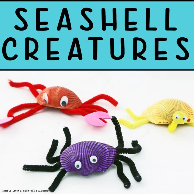 Sea Shell Creatures 3 creatures in picture