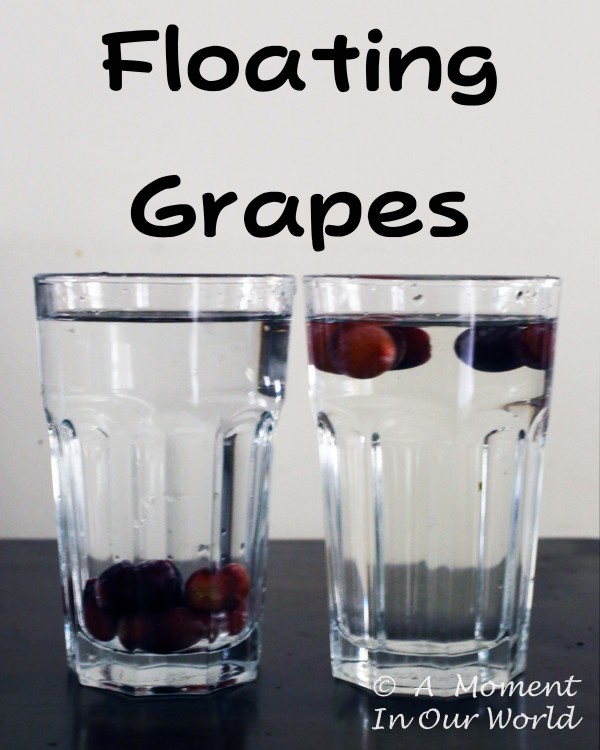 Floating Grapes 1