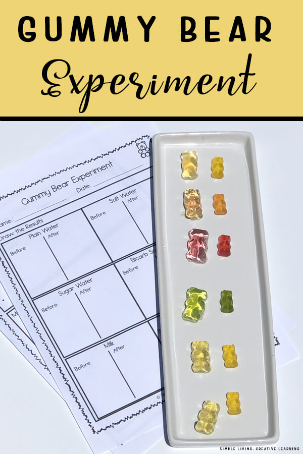Gummy Bear Experiment