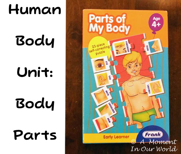 Human Body ~ Body Parts