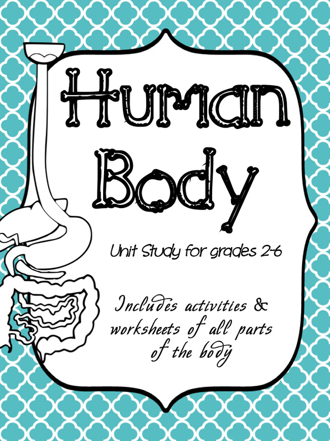 You will learn lots about the human body with this amazing, in-depth human Body Unit Study.