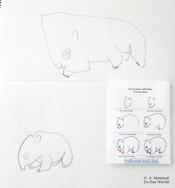 Wombat We Draw