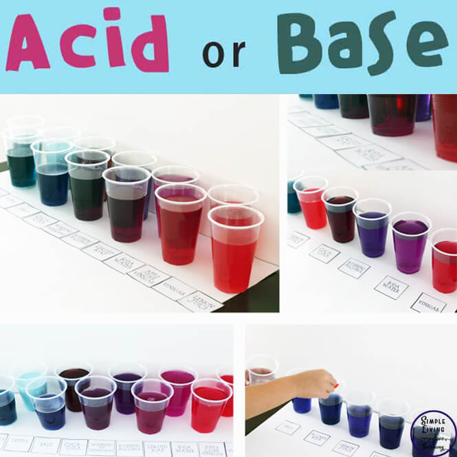 Teach kids about acids and bases and making a hypothesis with this simple acid or base science experiement.