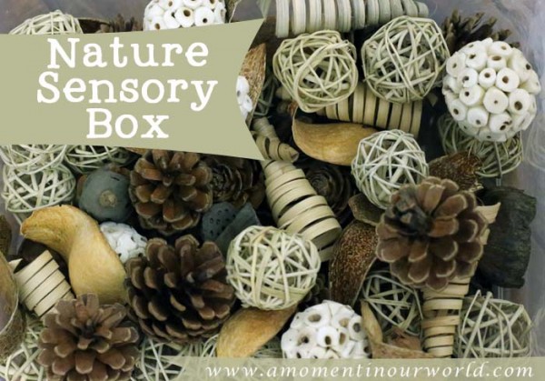 Nature Sensory Box