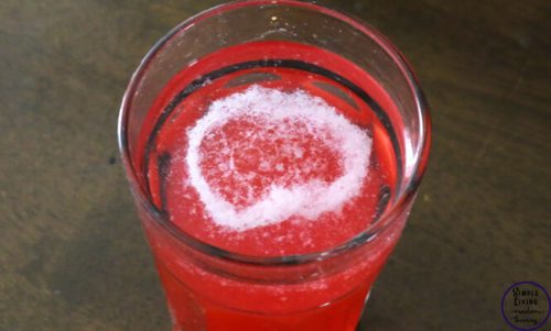 Strawberry Dna Science Experiment Simple Living Creative Learning