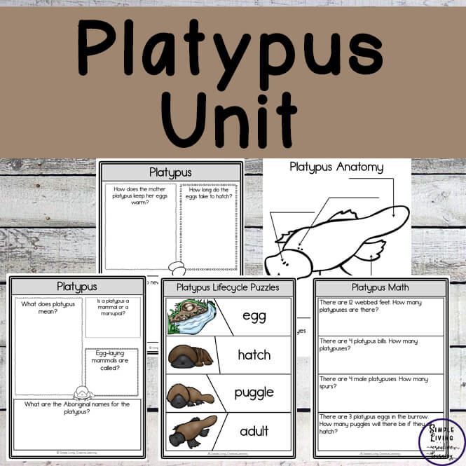 Platypus Unit