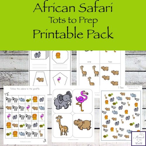 Take a journey to Africa with this fun African Safari Tots to Prep Pack that is jam-packed with exciting activities for little ones, ages 2 - 8.