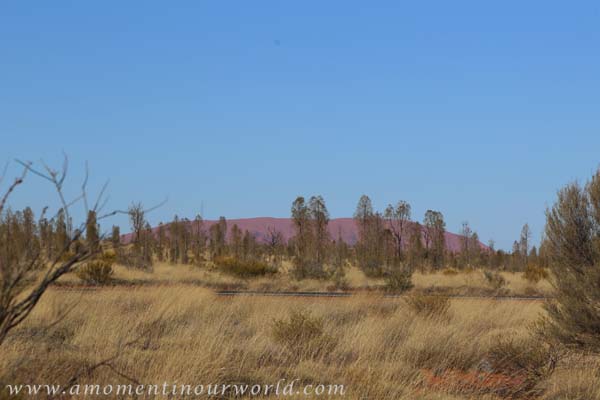 Uluru Free Camp 5