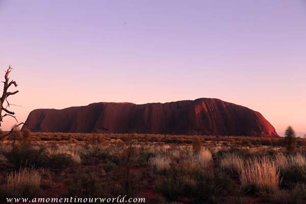Uluru Sunrise 20
