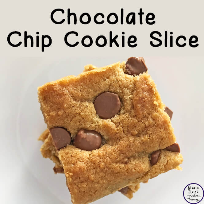 Chocolate Chip Cookie Slice