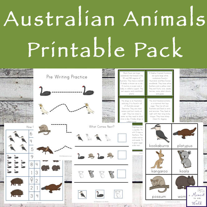 Australian Animals Printable Pack Simple Living Creative Learning