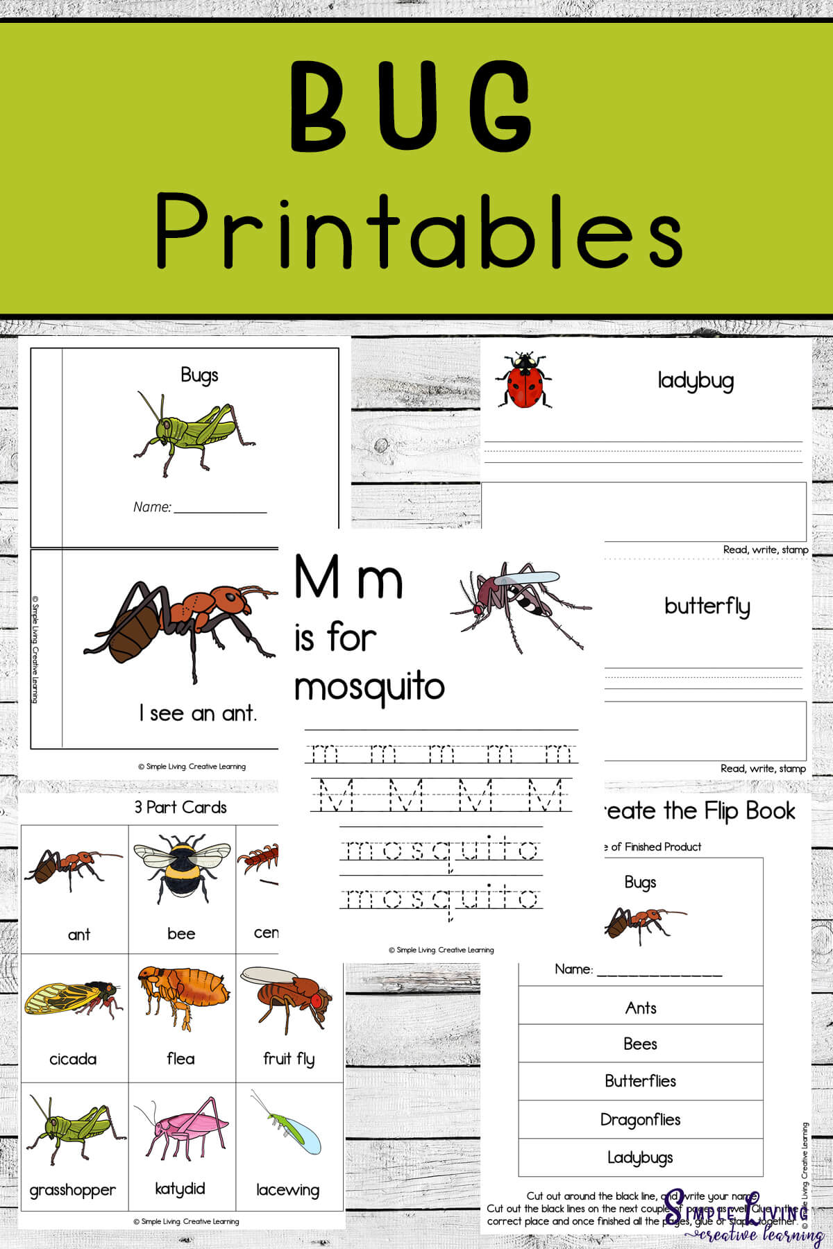 Bug Printables