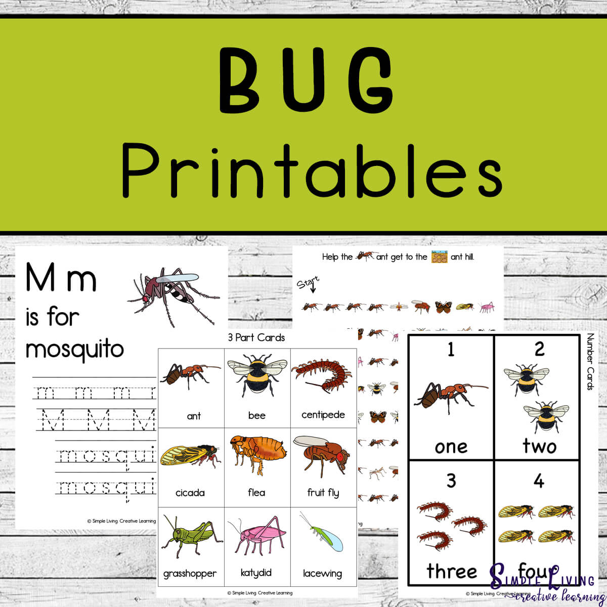 Bug Printables four pages