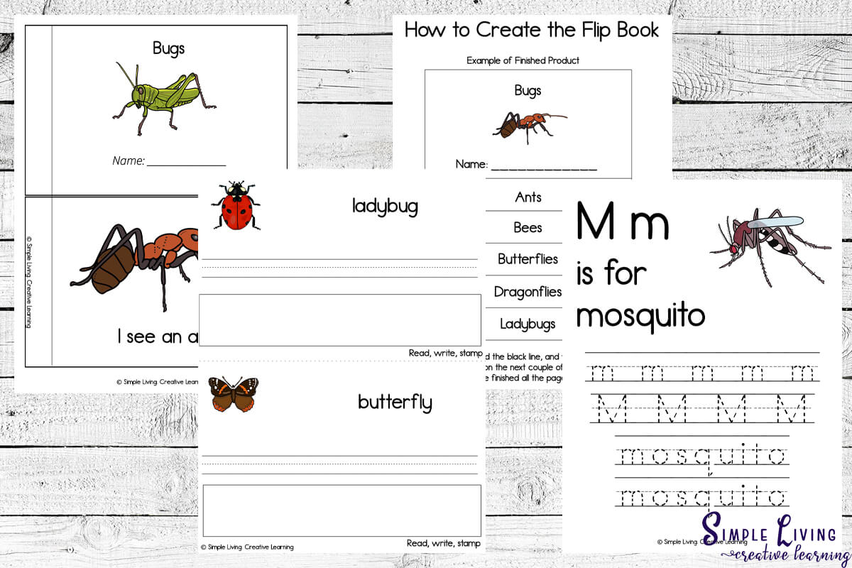 Bug Printables literacy pages