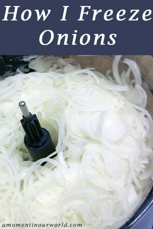 Freeze Onions