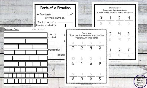 This Fun Fraction Worksheet pack is not only great for those just starting out with fractions, but is also great for those who need more practice or need to review their fractions.