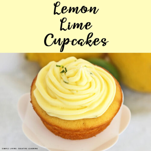 Lemon Lime Cupcakes one cupcake