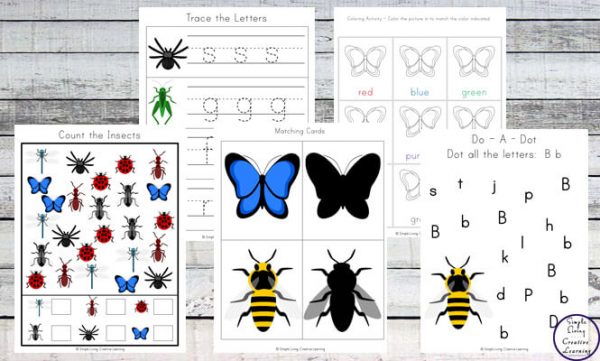 {FREE} Insect Printable Pack - Simple Living. Creative Learning