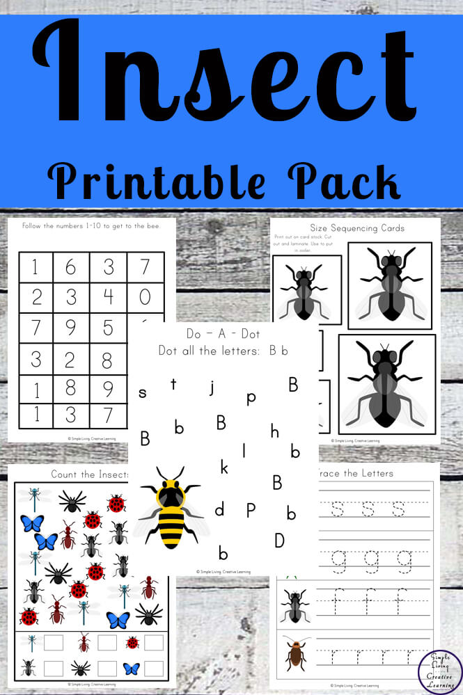 Free Insect Printable Pack Simple Living Creative Learning