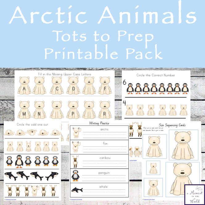 Arctic Animals Tots to Prep Printable Pack 