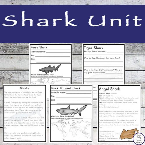 Shark Unit