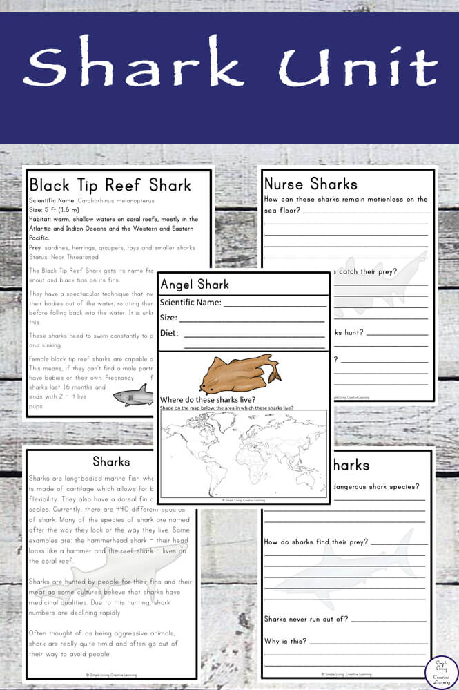 This awesome, 40+ page printable Shark Unit, contains information for ten of the most popular sharks.