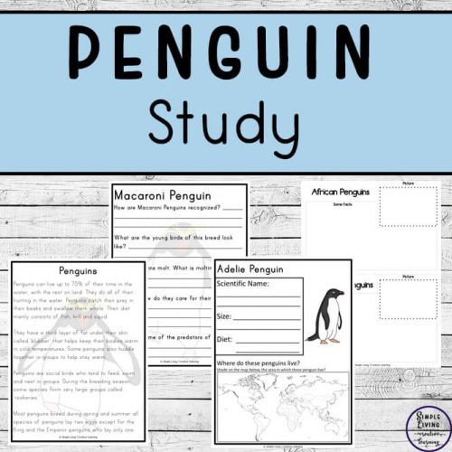 penguin study printables