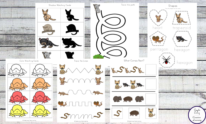 This Australia Animals Printable Pack is aimed at children in preschool and kindergarten; filled with fun literacy and math activities with an Australian Animal Theme.